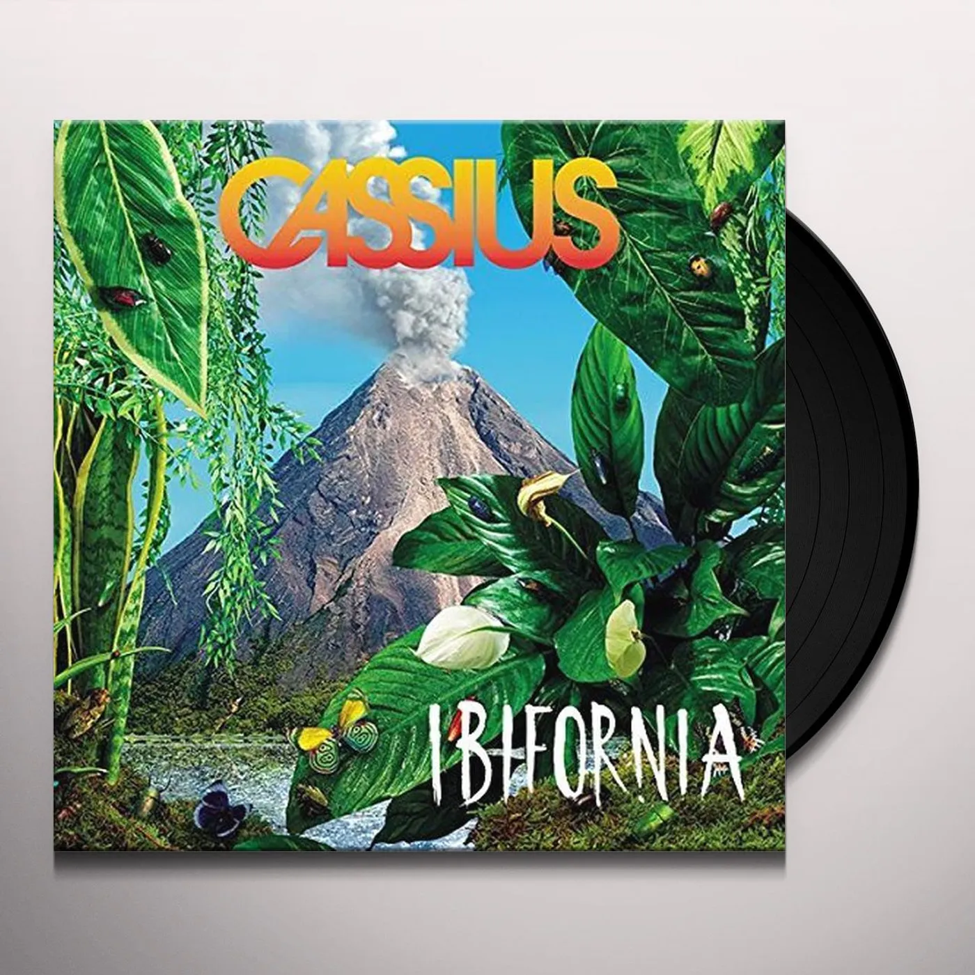 Cassius Ibifornia Vinyl Record