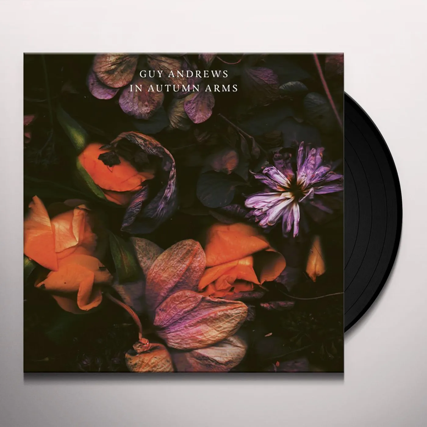 Guy Andrews In Autumn Arms Vinyl Record