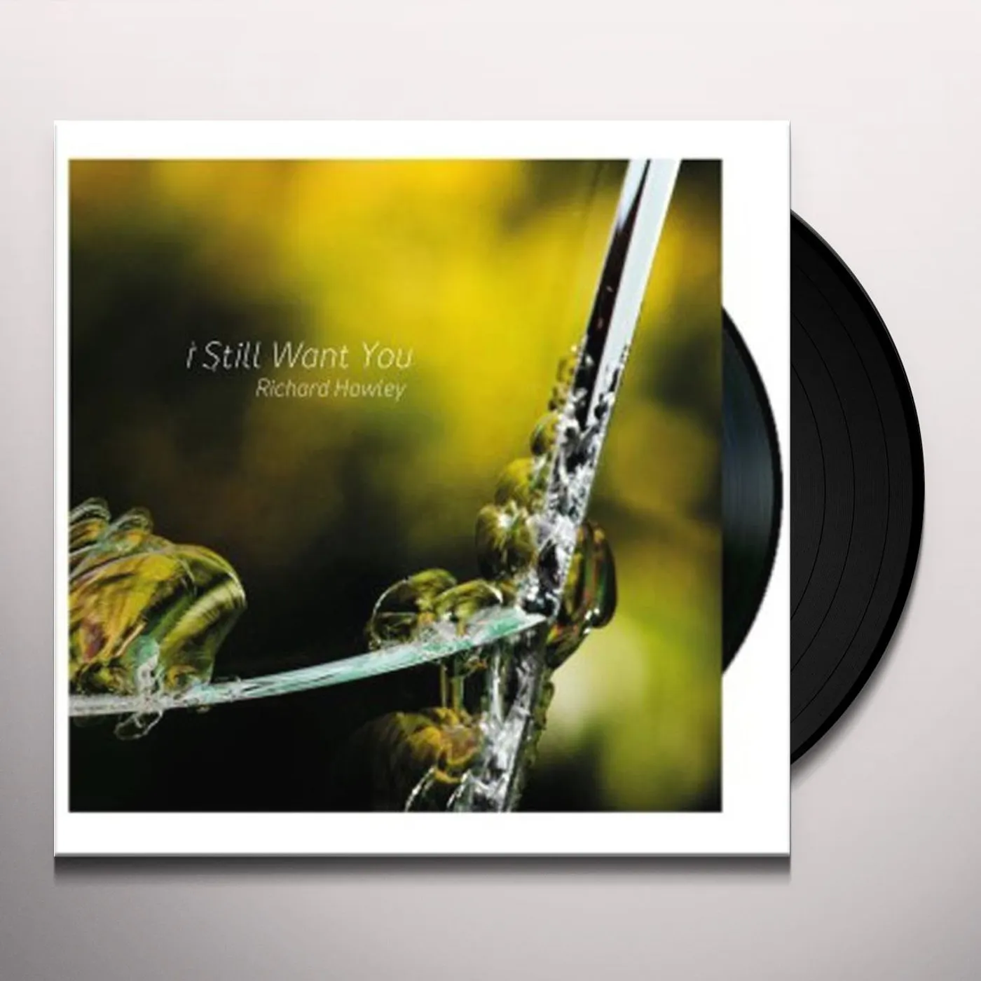 Richard Hawley I Still Want You Vinyl Record
