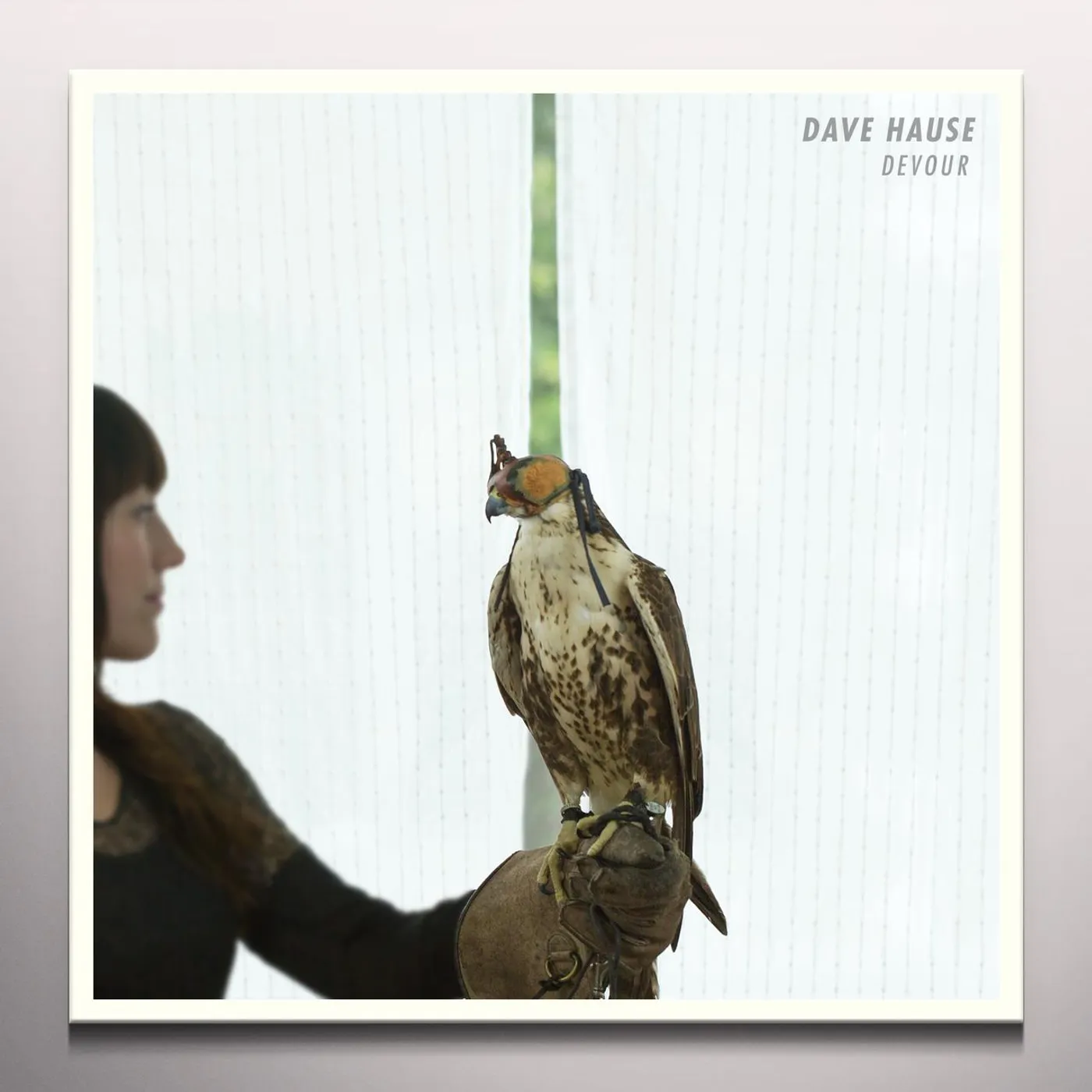 Dave Hause Devour Vinyl Record