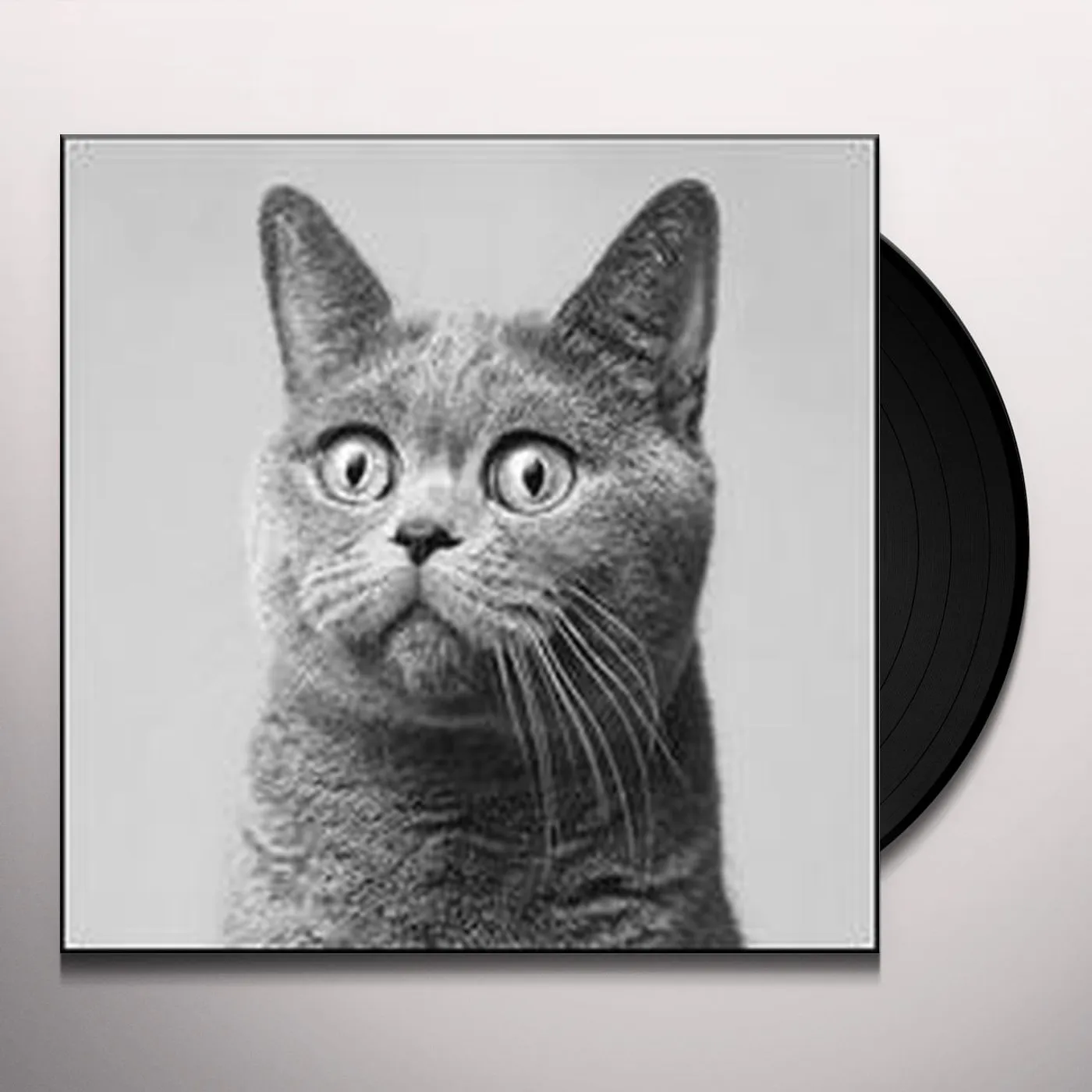 Pupkulies & Rebecca KRICKKOW Vinyl Record