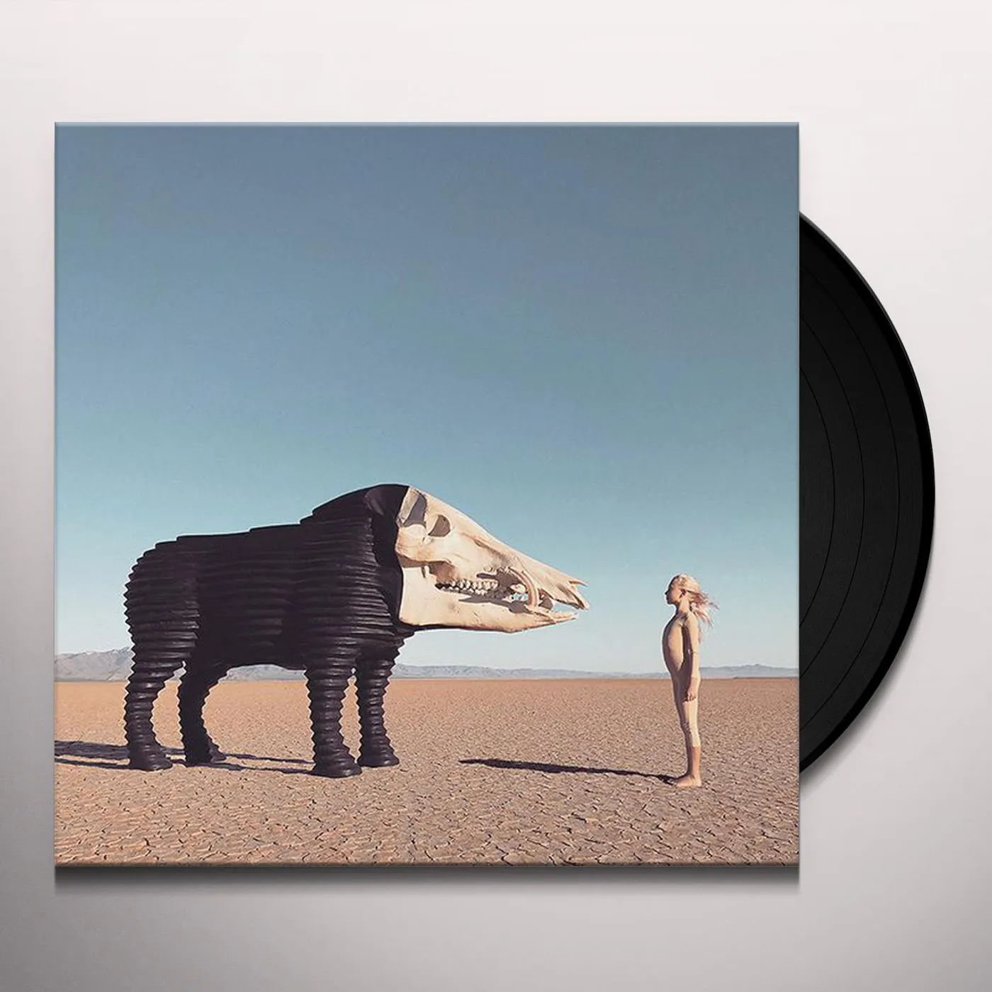 Man Man Dream Hunting in the Valley of the In-Between Vinyl Record