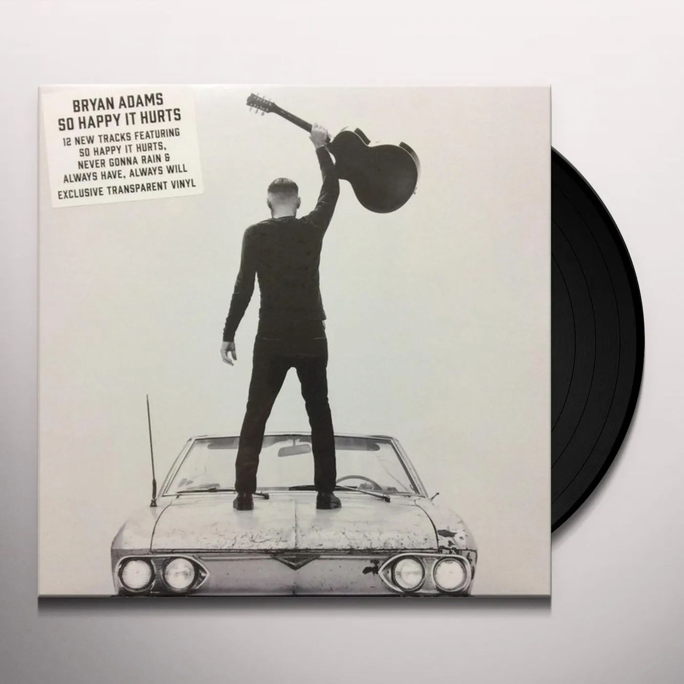 Bryan Adams So Happy It Hurts Vinyl Record