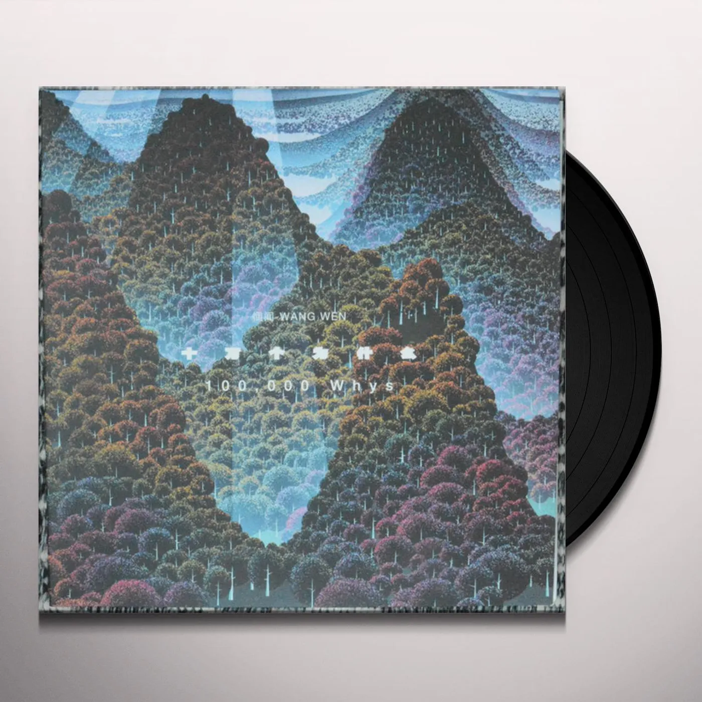 Wang Wen 100'000 WHYS Vinyl Record