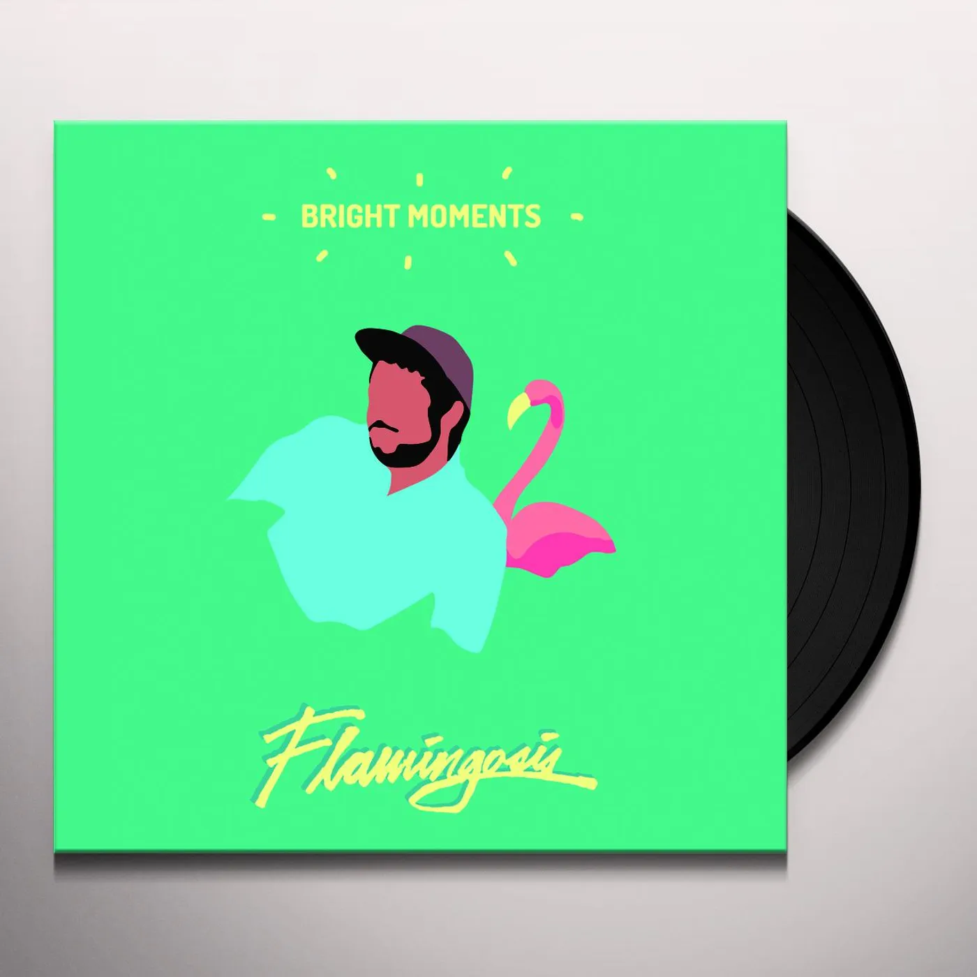Flamingosis Bright Moments Vinyl Record