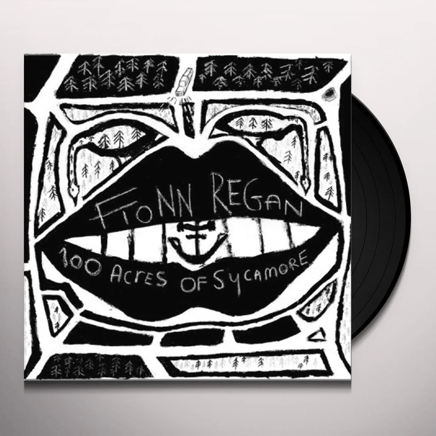 Fionn Regan 100 Acres Of Sycamore Vinyl Record
