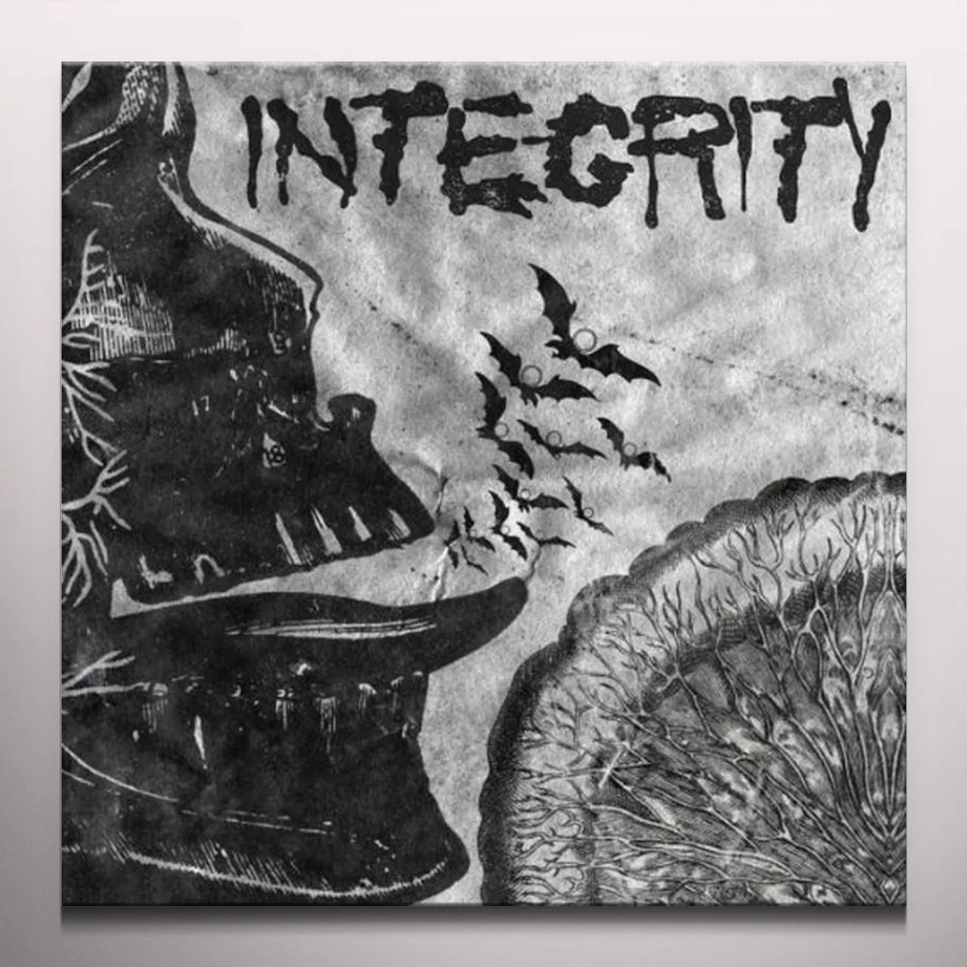 Integrity Suicide Black Snake Vinyl Record