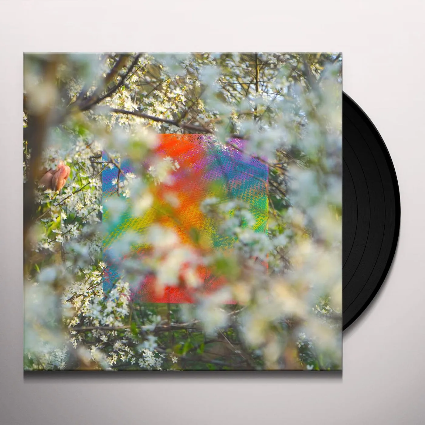 Four Tet Teenage Birdsong Vinyl Record