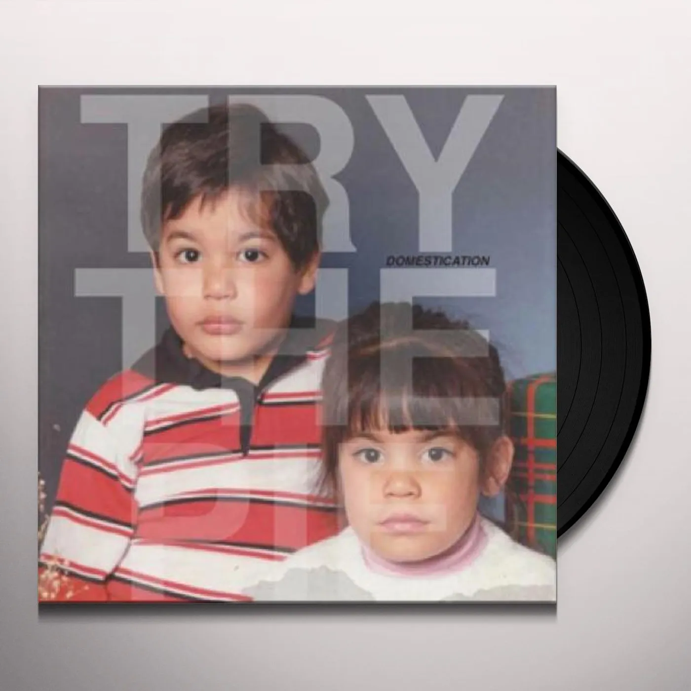 Try the Pie DOMESTICATION Vinyl Record