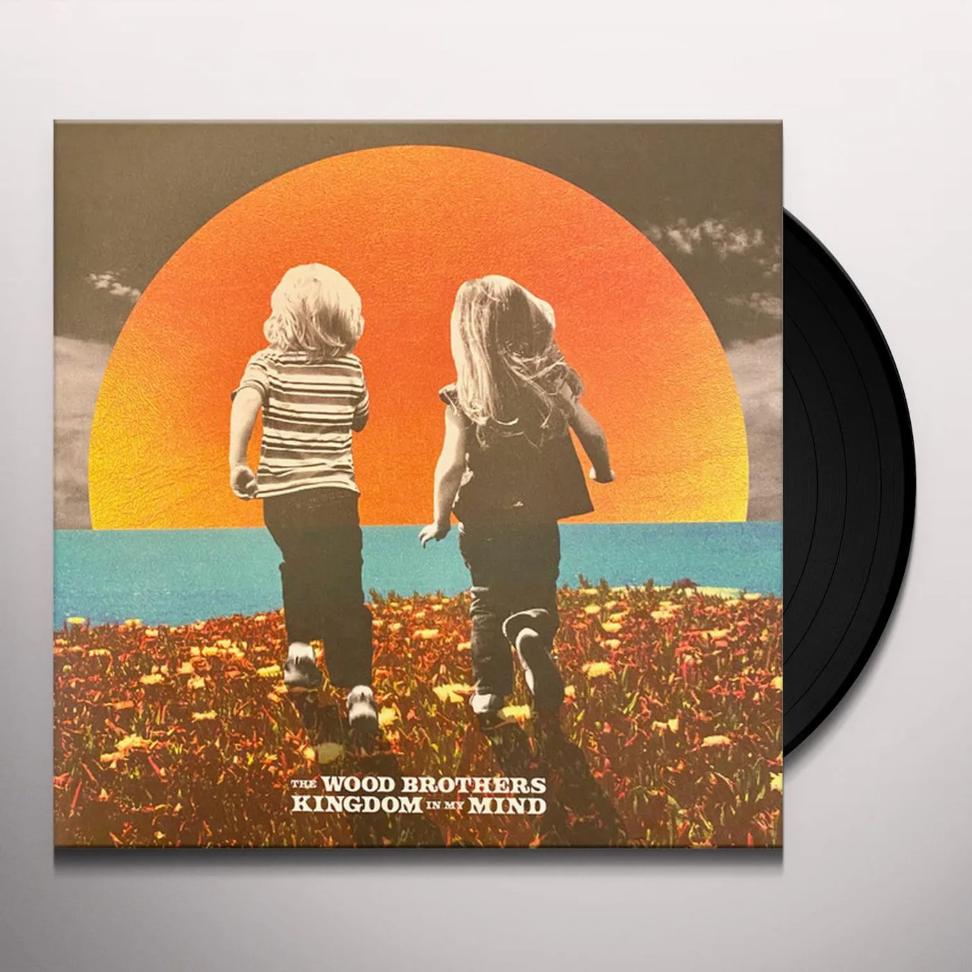 The Wood Brothers Kingdom in My Mind Vinyl Record