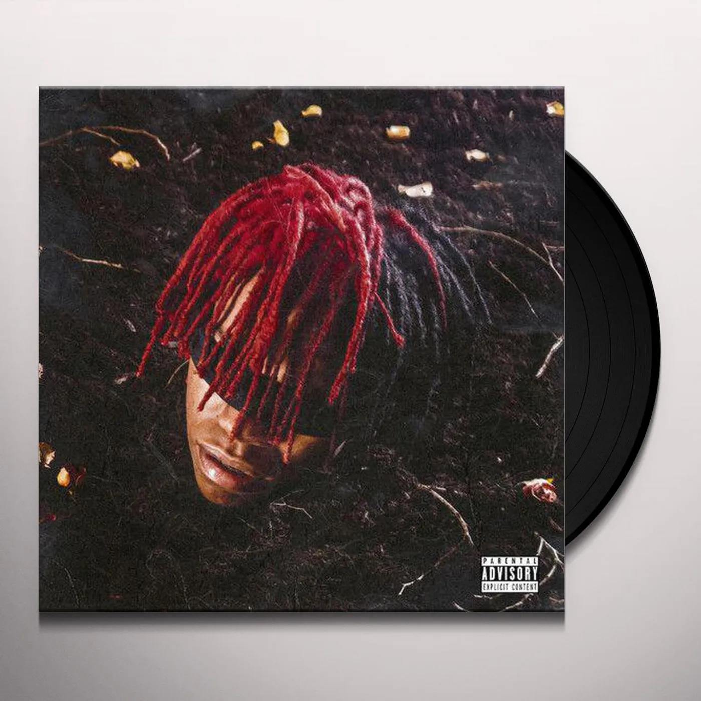 DC The Don Funeral (X) Vinyl Record