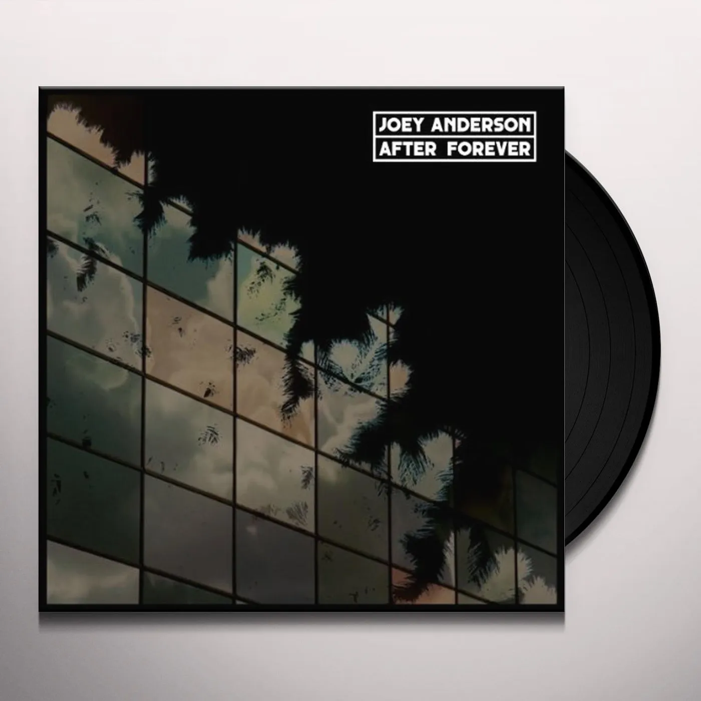 Joey Anderson After Forever Vinyl Record