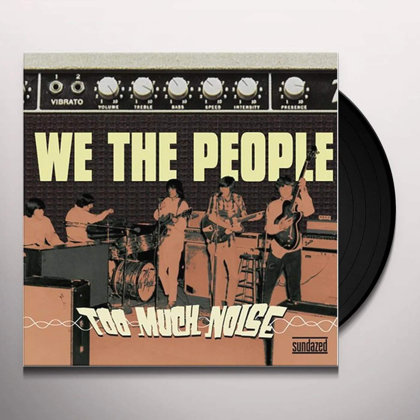 We The People Too Much Noise Vinyl Record
