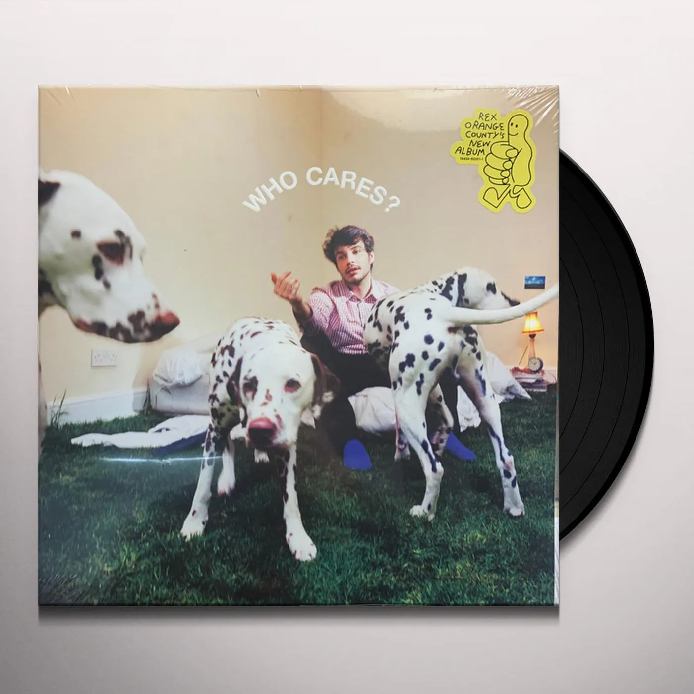 Rex Orange County WHO CARES? (X) (150G) Vinyl Record