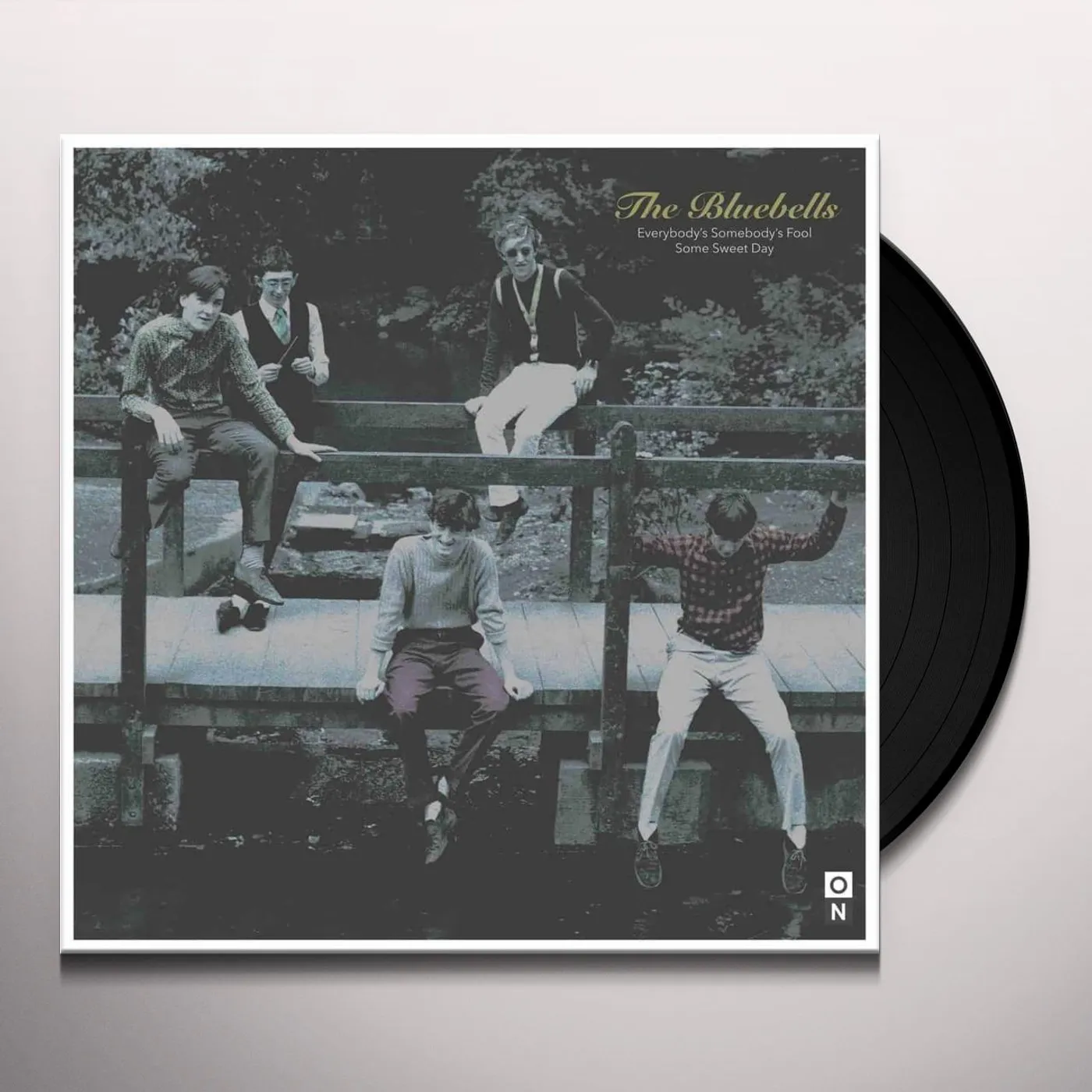 The Bluebells EVERYBODY'S SOMEBODY'S FOOL Vinyl Record