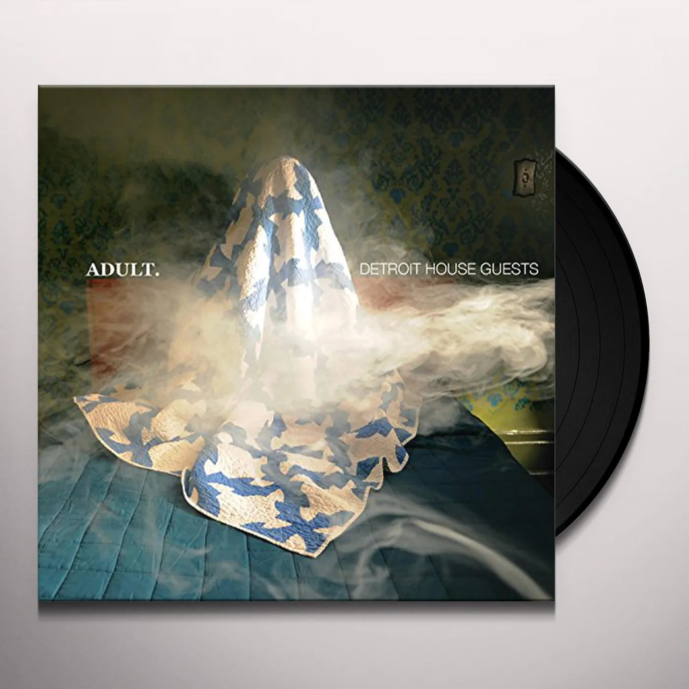 ADULT. Detroit House Guests Vinyl Record