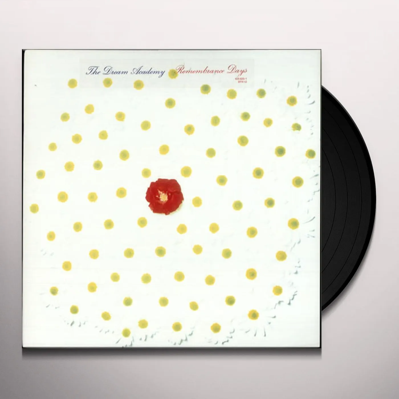 The Dream Academy Remembrance Days Vinyl Record