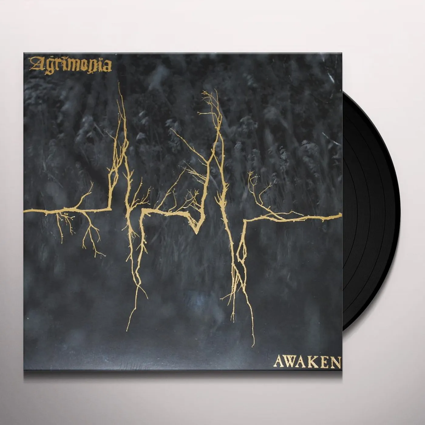 Agrimonia Awaken Vinyl Record