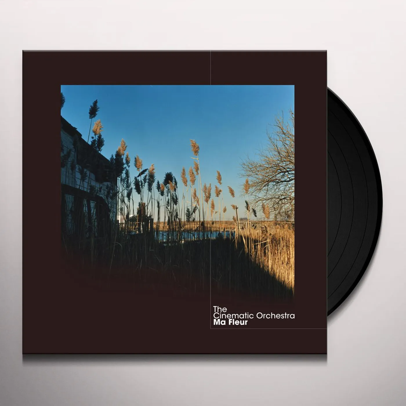 The Cinematic Orchestra MA FLEUR (2LP/DL CARD) Vinyl Record