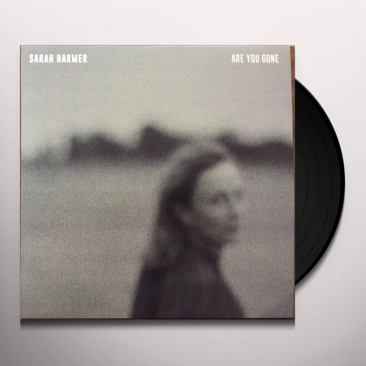 Sarah Harmer Are You Gone Vinyl Record