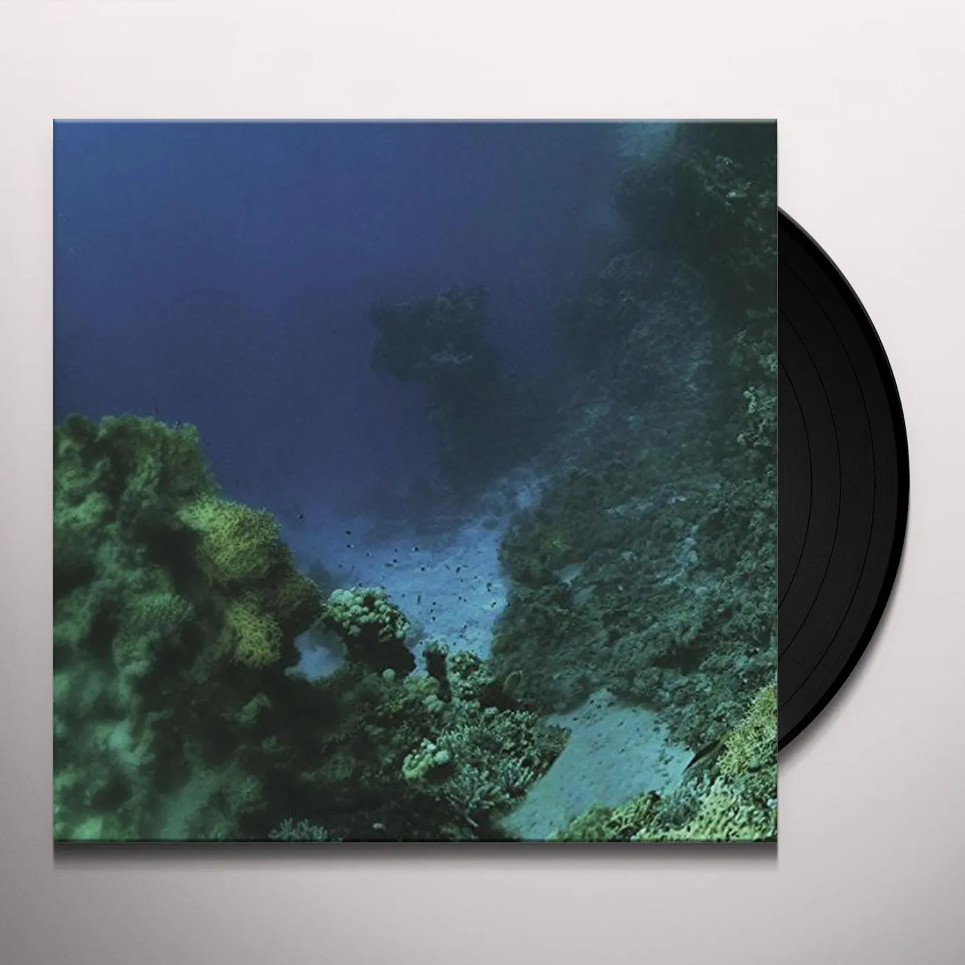 Tiny Fingers FALL Vinyl Record