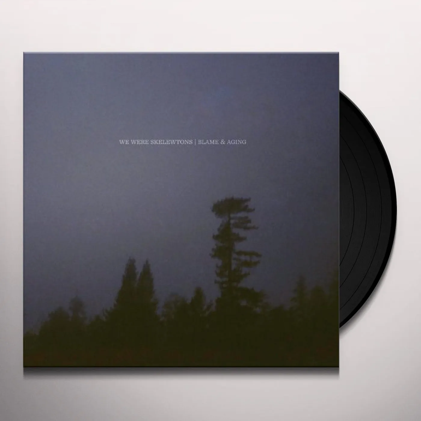 We Were Skeletons Blame & Aging Vinyl Record