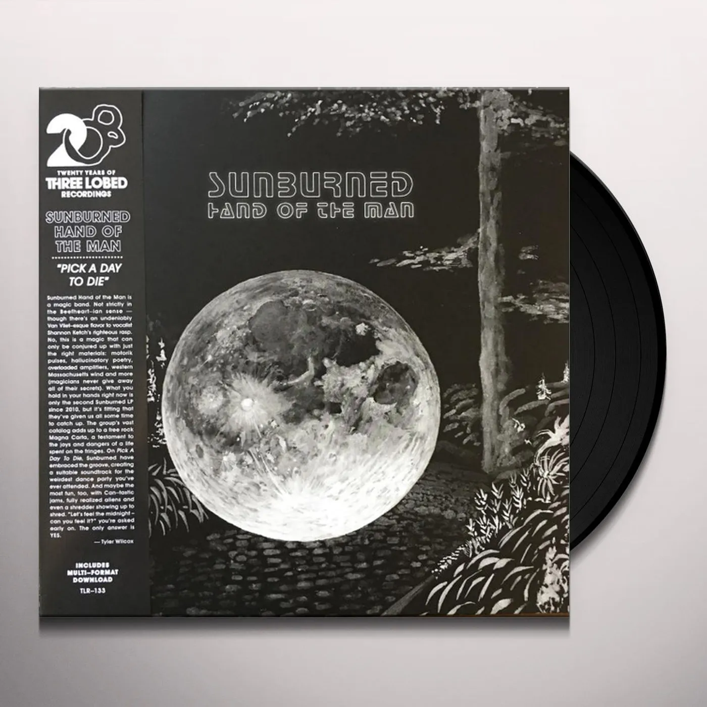 Sunburned Hand Of The Man PICK A DAY TO DIE (DL CARD) Vinyl Record