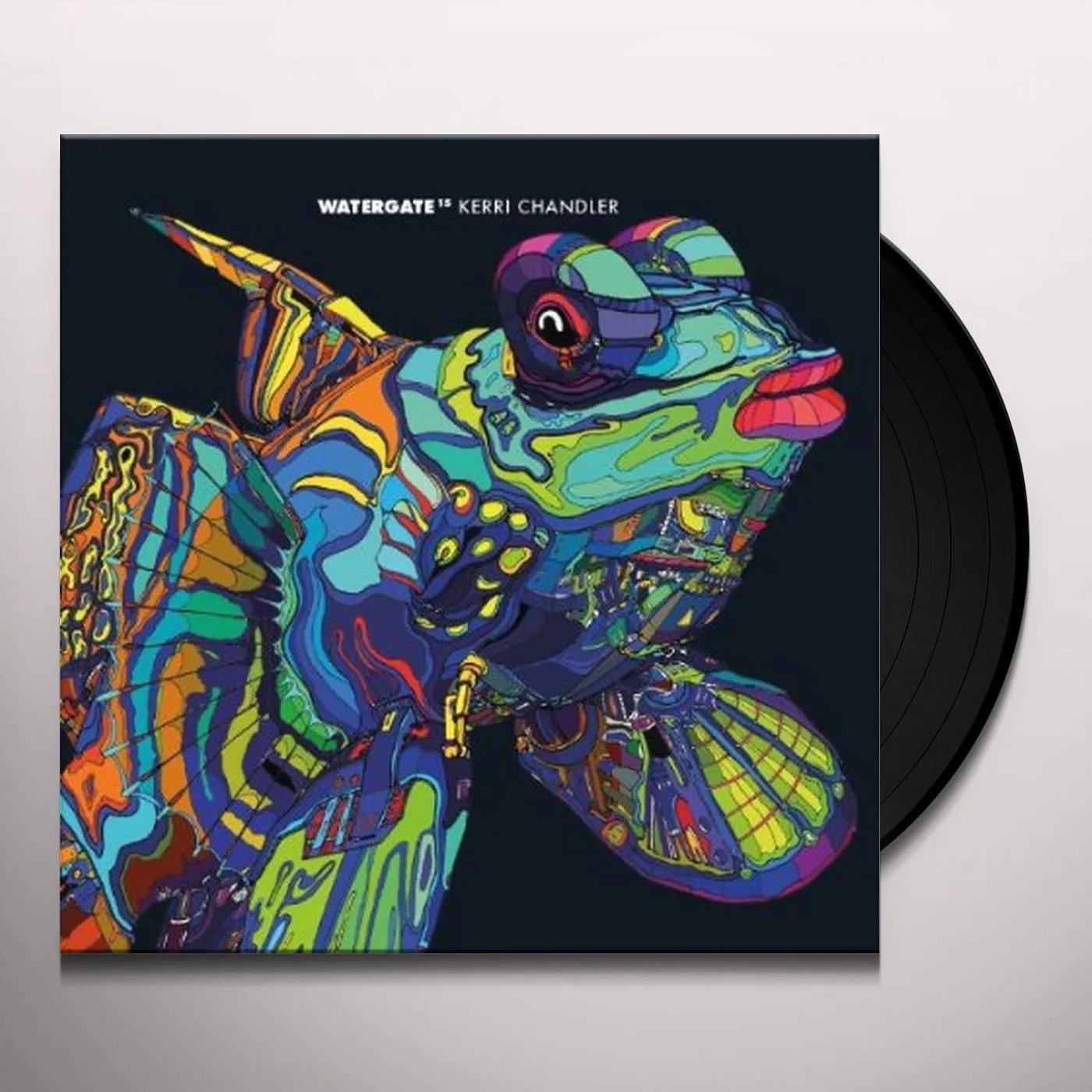 Mathias Kaden Fin Vinyl Record