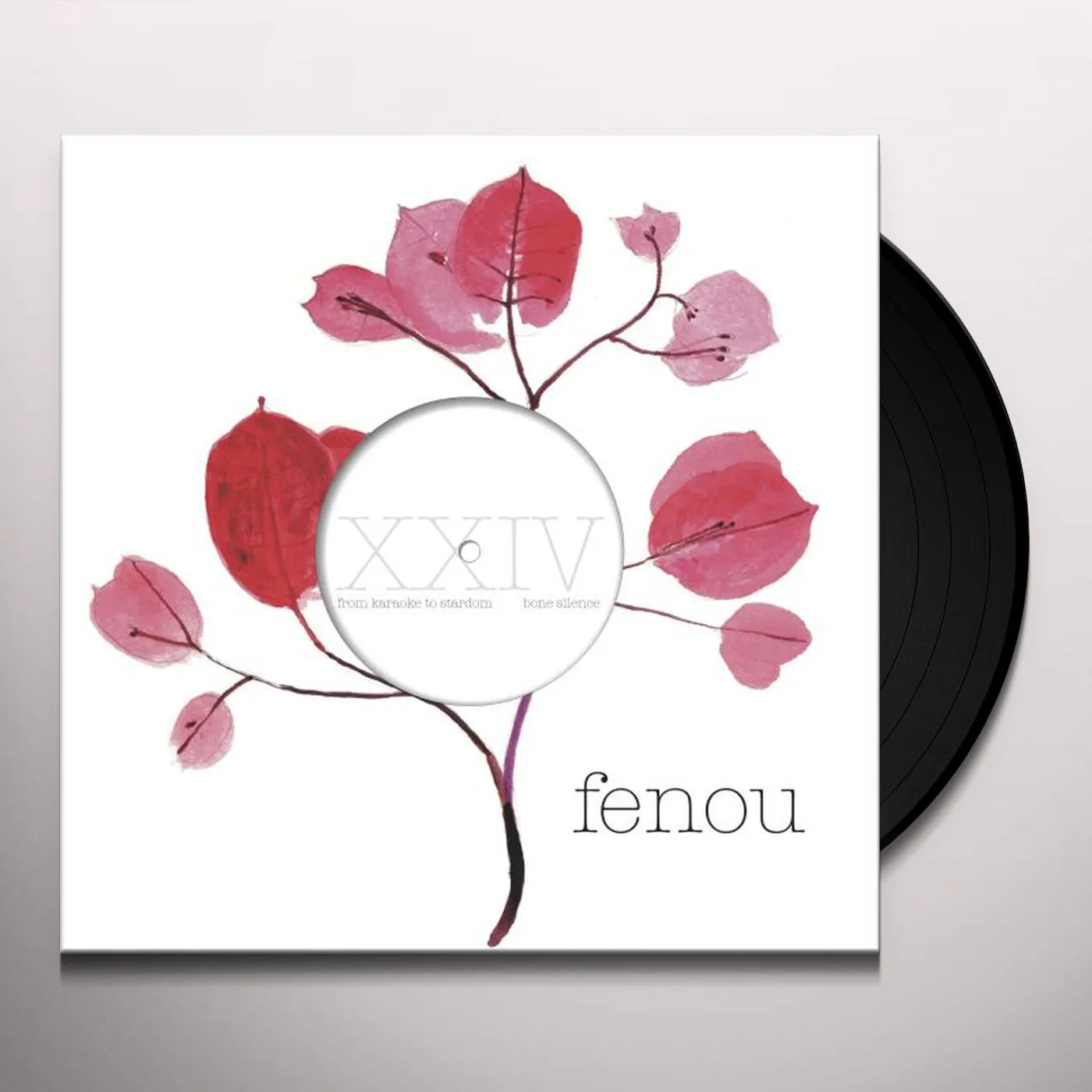 From Karaoke To Stardom BONE SILENCE Vinyl Record