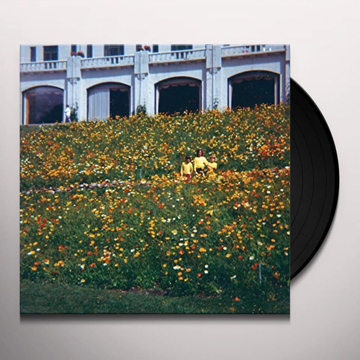 Altameda Time Hasn't Changed You Vinyl Record