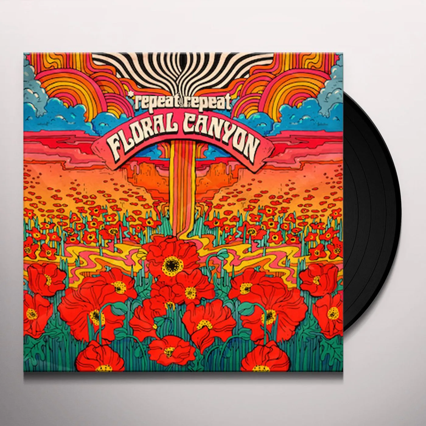 *repeat repeat Floral Canyon Vinyl Record