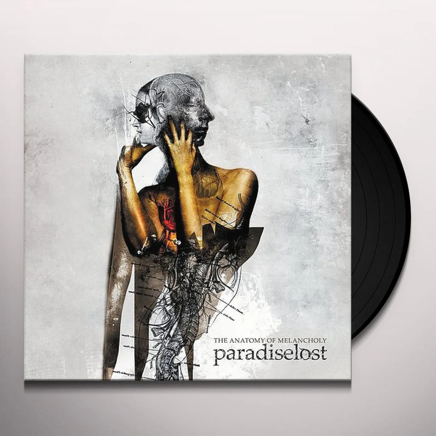 Paradise Lost ANATOMY OF MELANCHOLY Vinyl Record