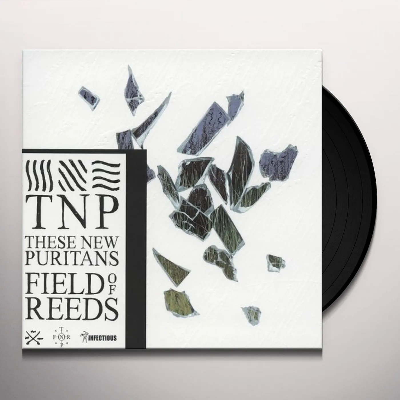 These New Puritans Field of Reeds Vinyl Record