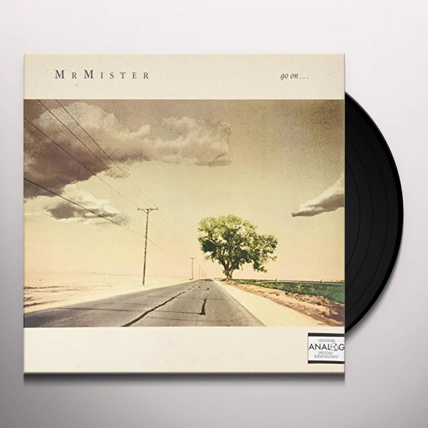 Mr. Mister GO ON (SOMETHING REAL) Vinyl Record