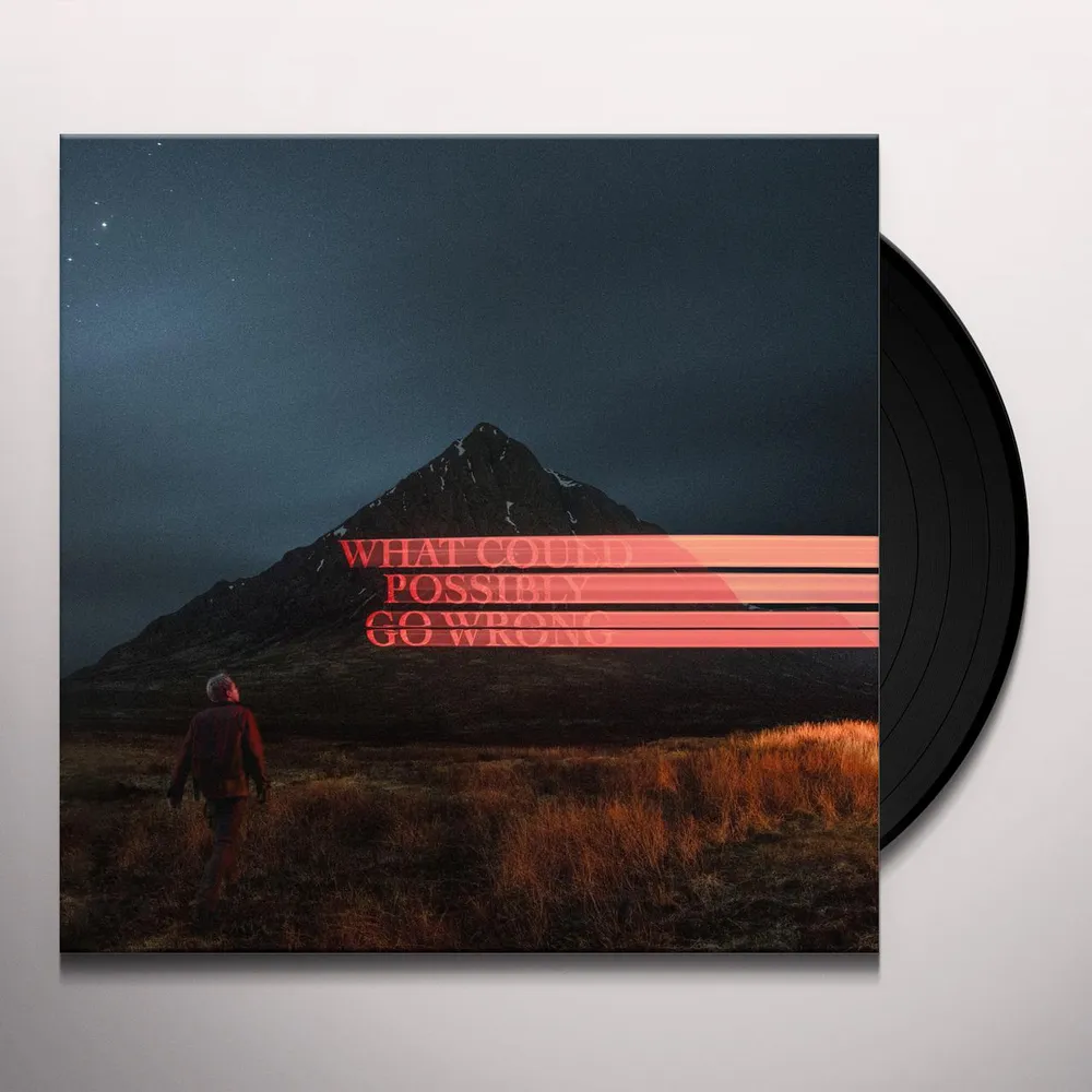 Dominic Fike レコードセット Dominic Fike What Could Possibly Go Wrong (X/Poster) Vinyl Record