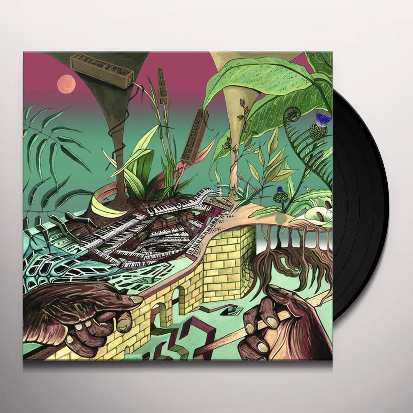 Nu Guinea TONY ALLEN EXPERIMENTS (AFROBEAT MAKERS 3) Vinyl Record