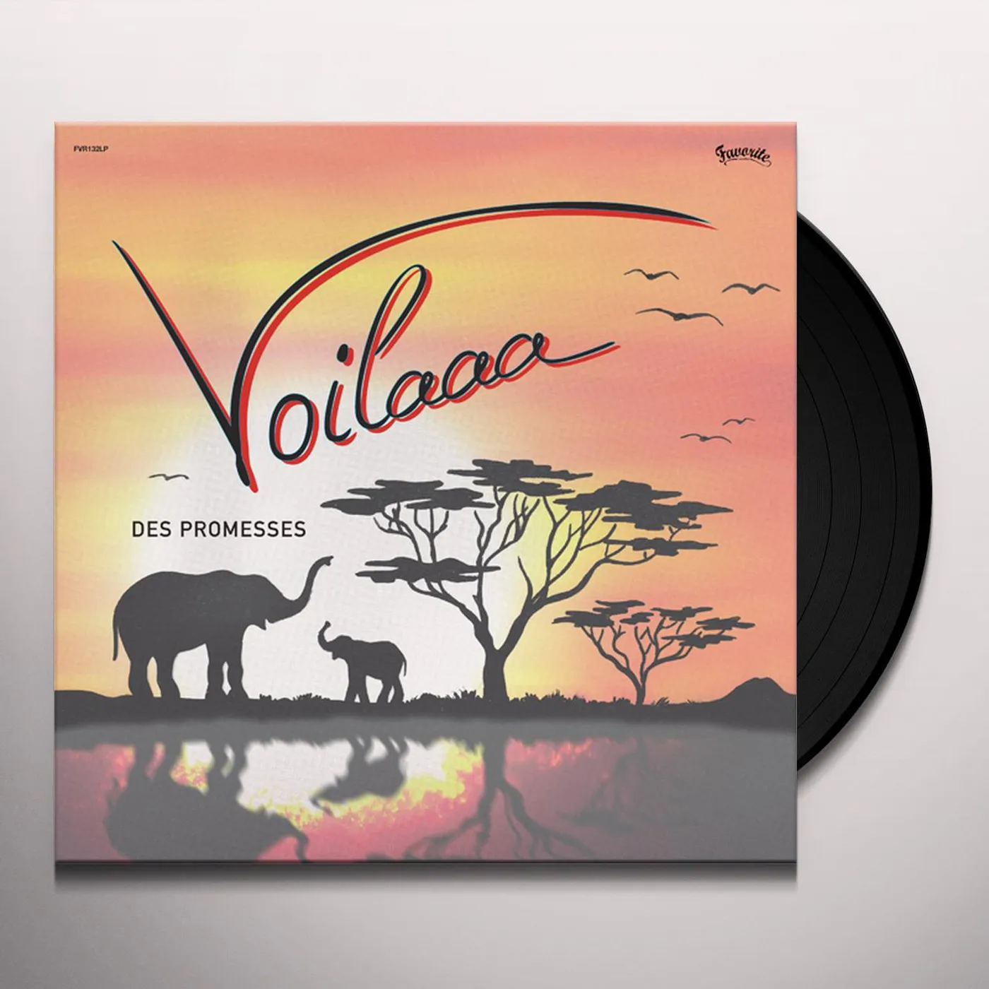 Voilaaa Des promesses Vinyl Record
