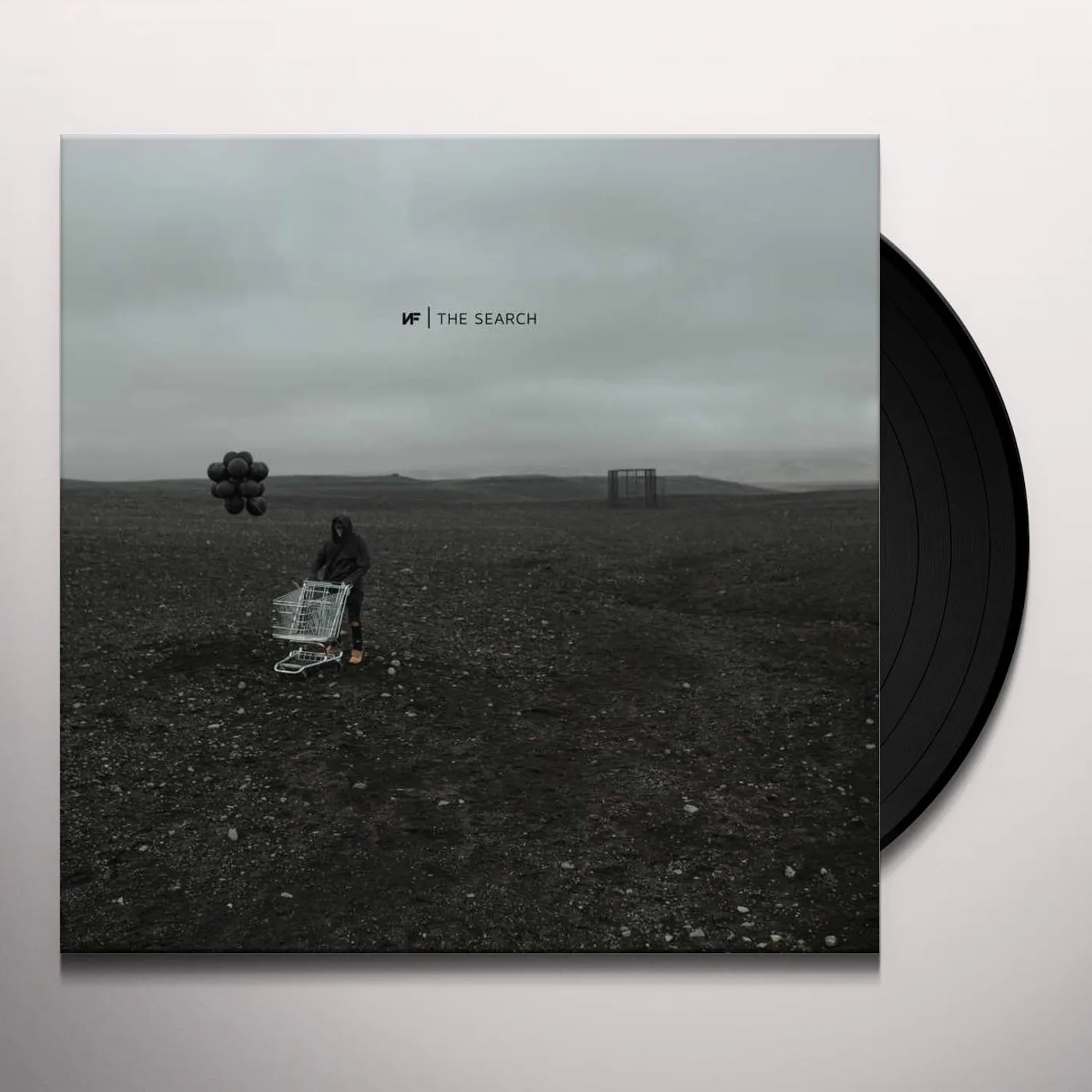 NF SEARCH (2LP) Vinyl Record