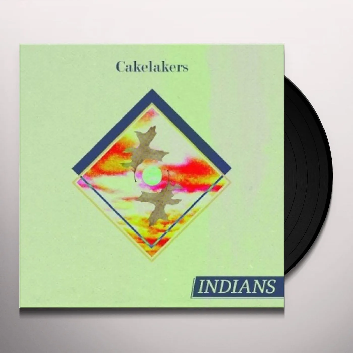 Indians CARELAKERS Vinyl Record