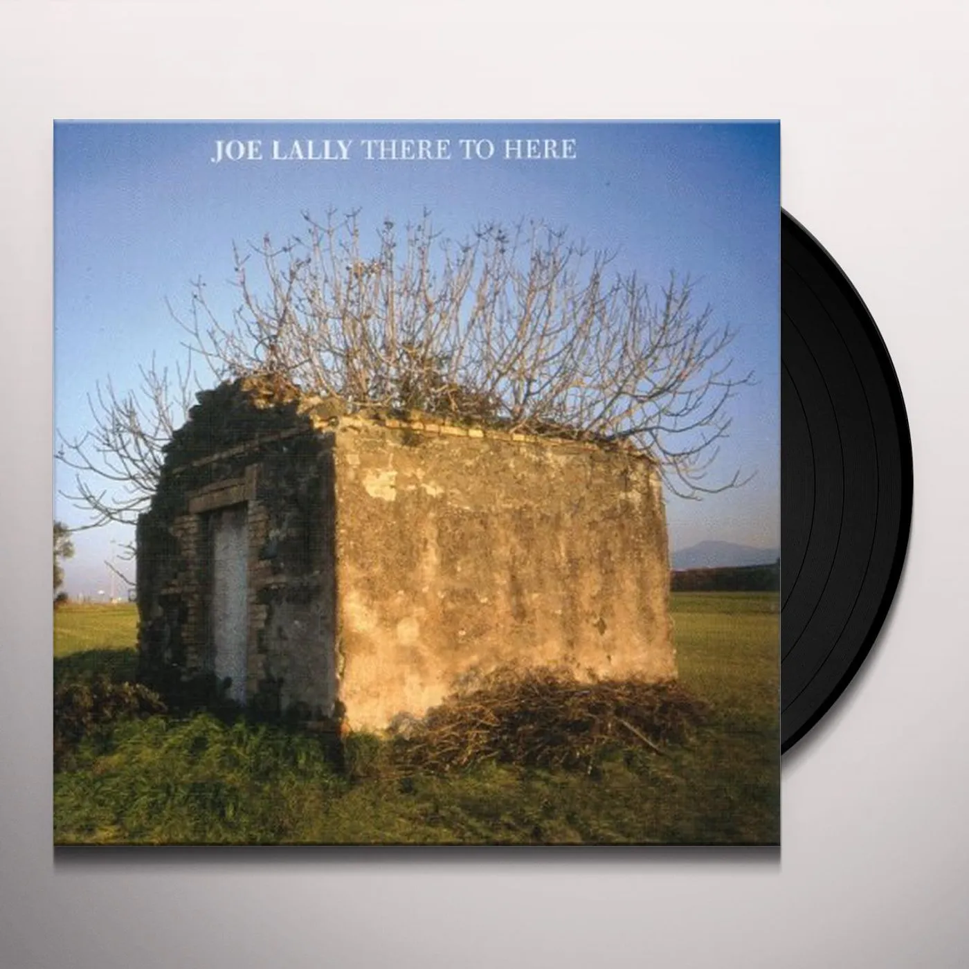 Joe Lally There to Here Vinyl Record