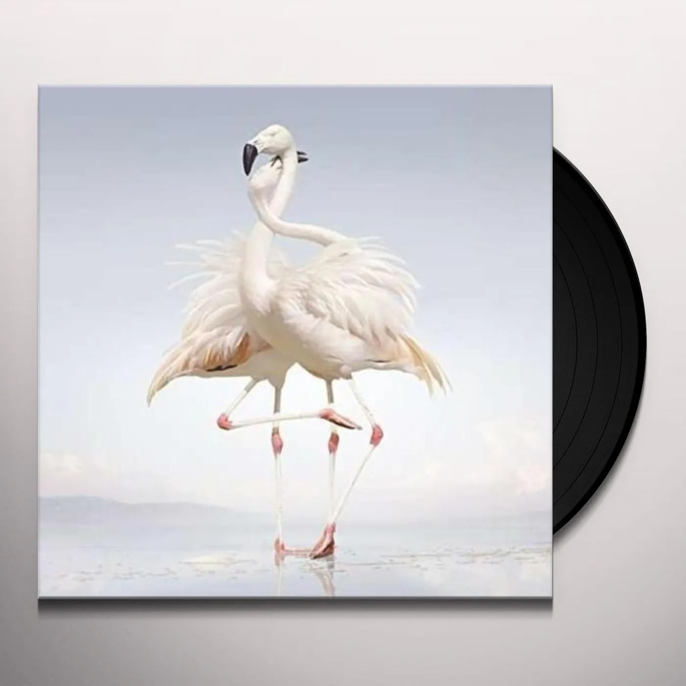 Rustie Green Language Vinyl Record