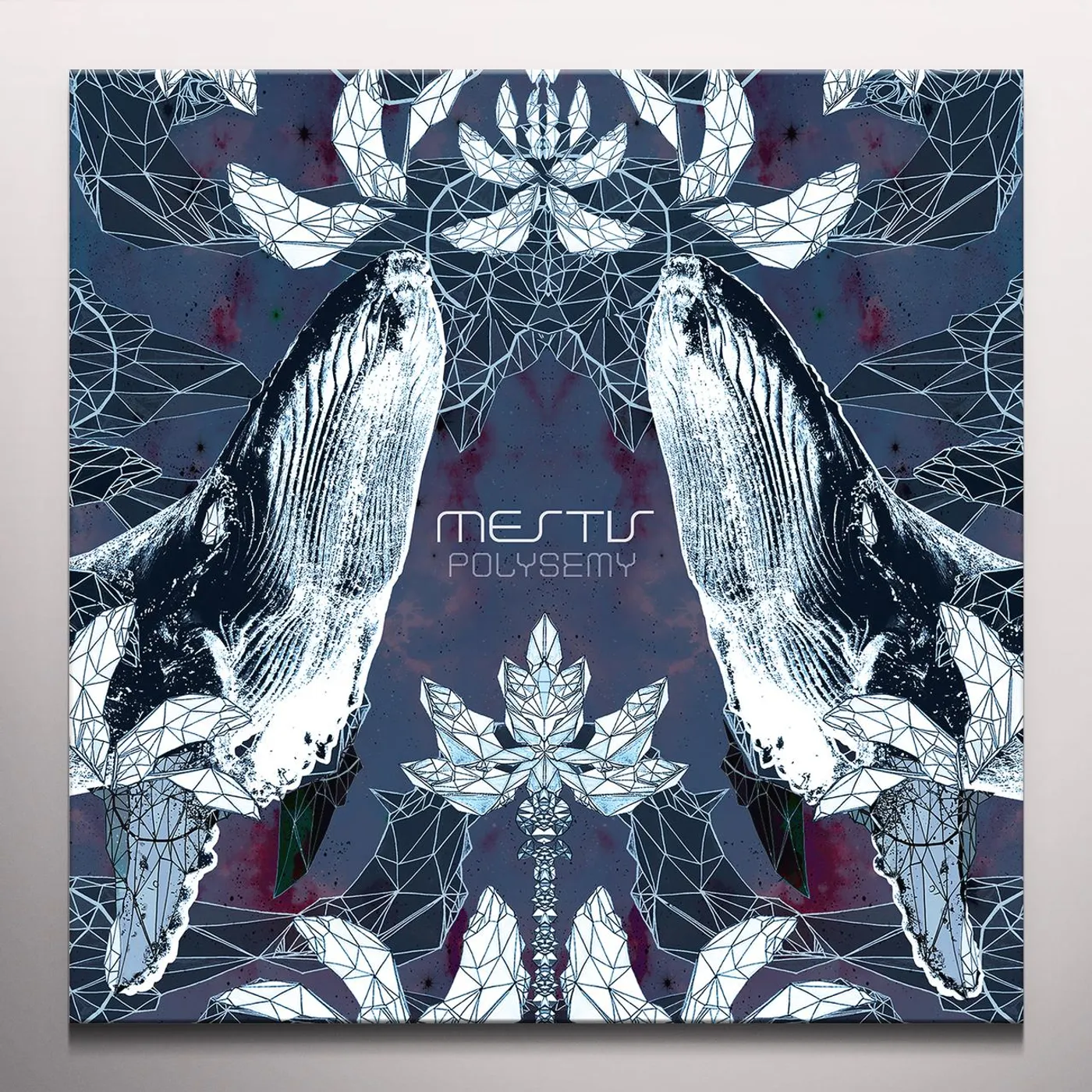 Mestís Polysemy Vinyl Record