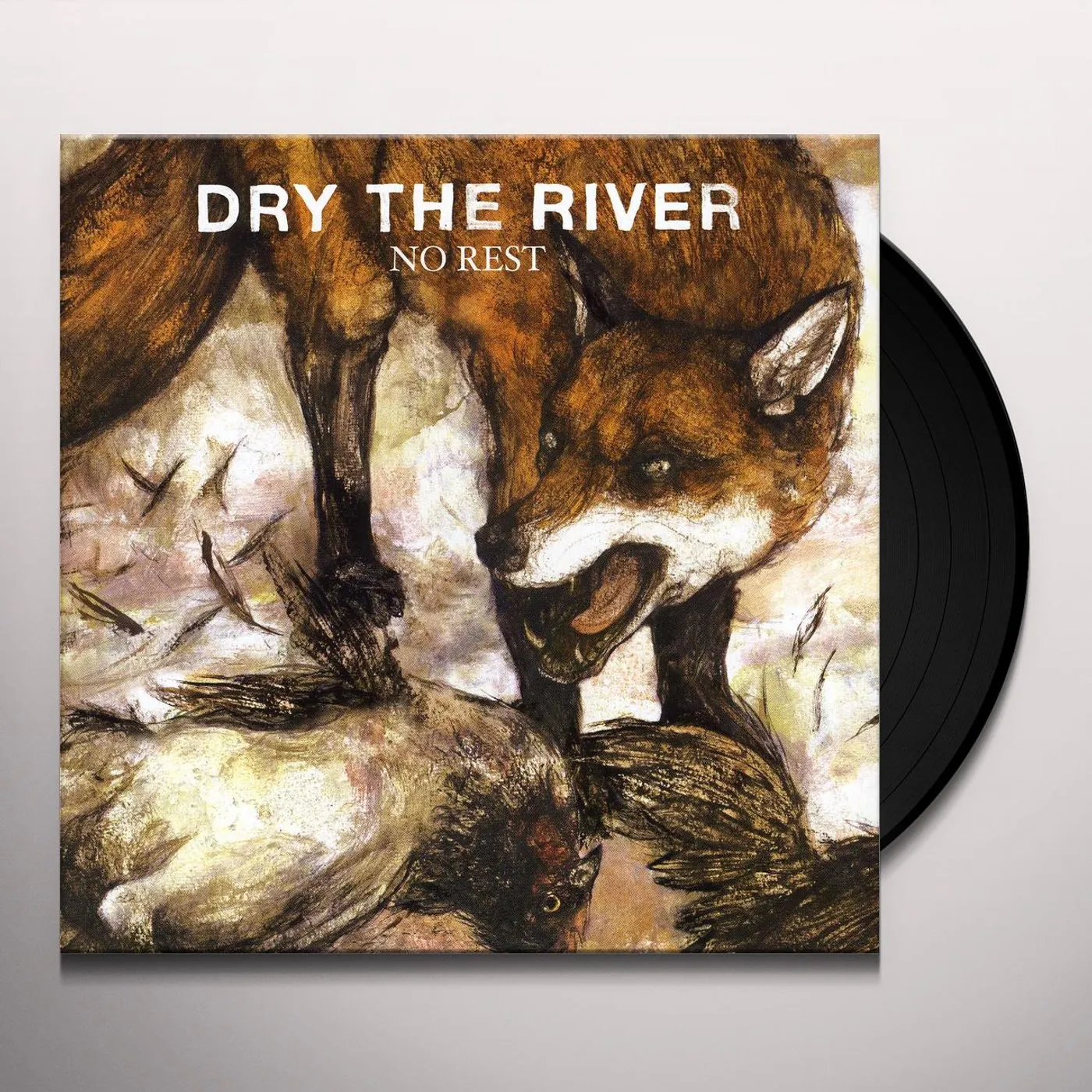 Dry the River NO REST (Vinyl)