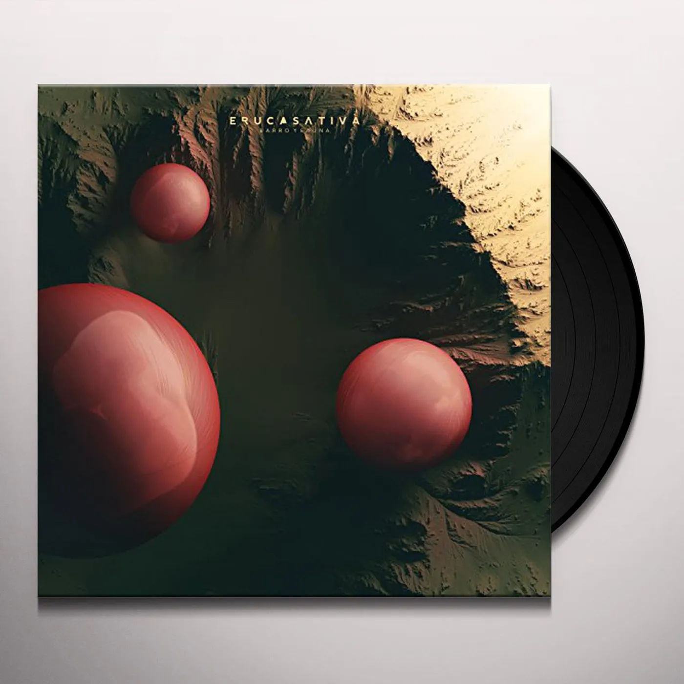 Eruca Sativa Barro y Fauna Vinyl Record