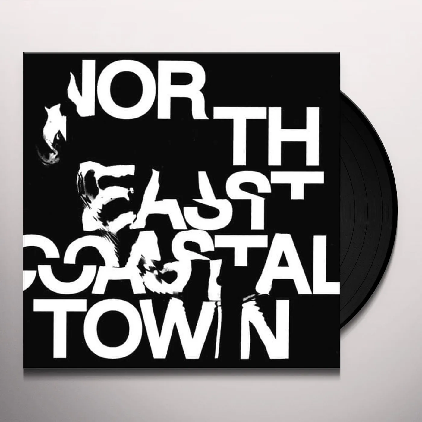 Life North East Coastal Town Vinyl Record