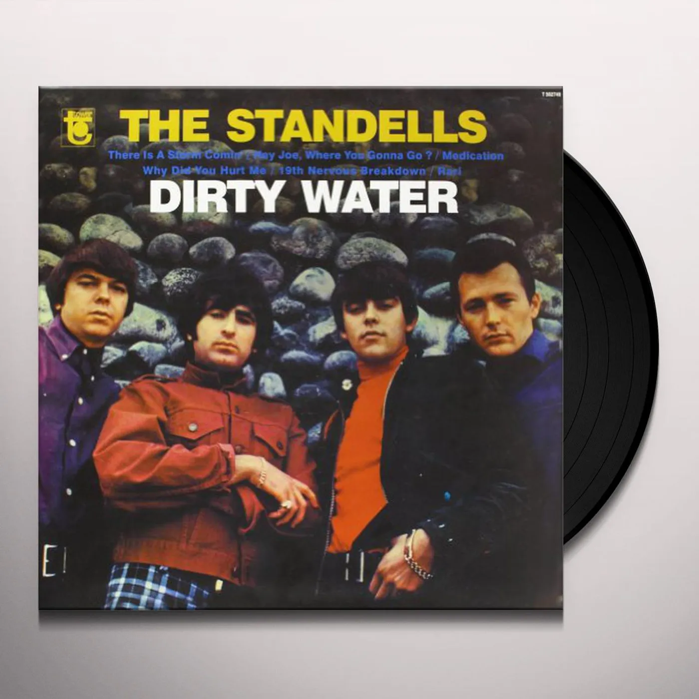 The Standells DIRTY WATER Vinyl Record