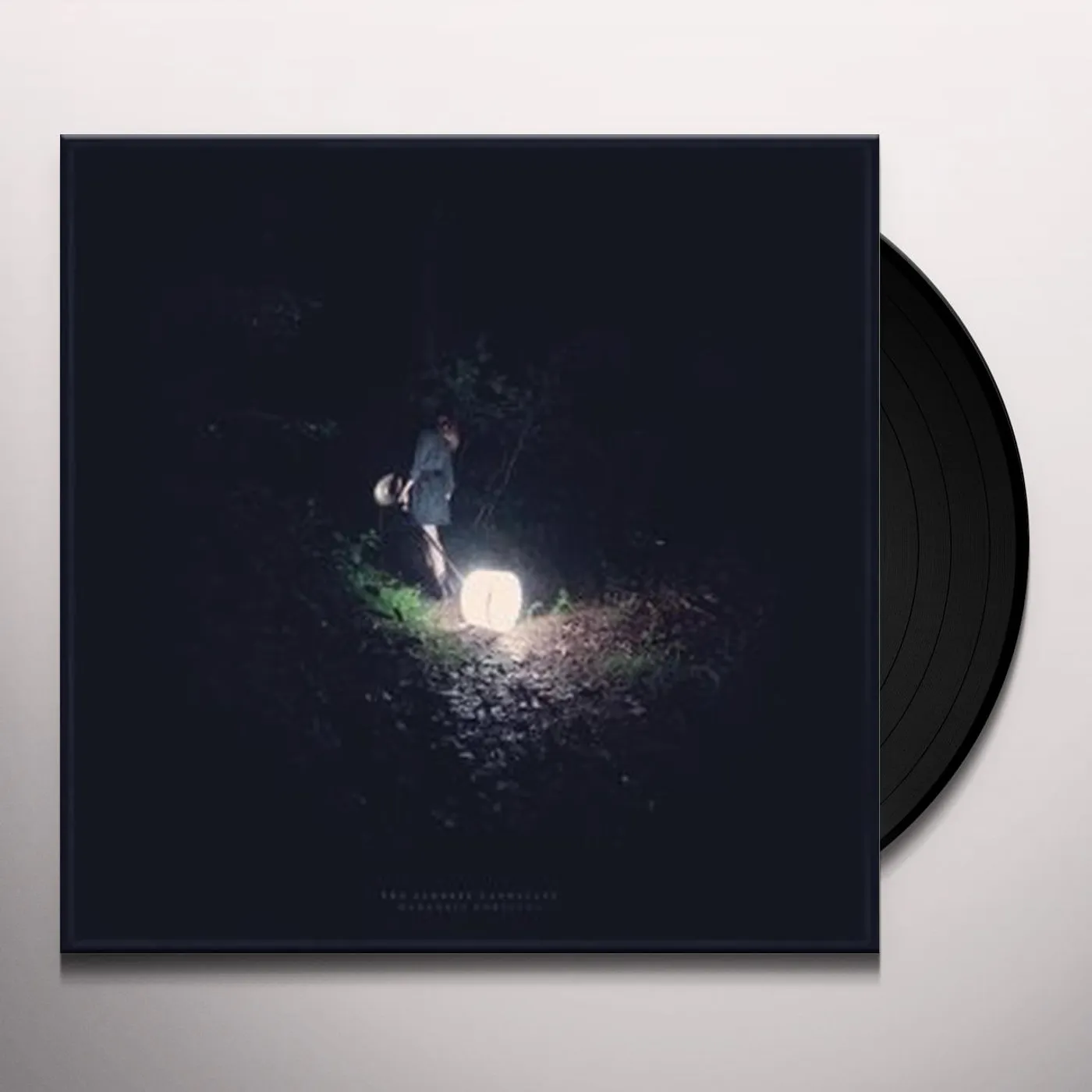 The Saddest Landscape Darkness Forgives Vinyl Record