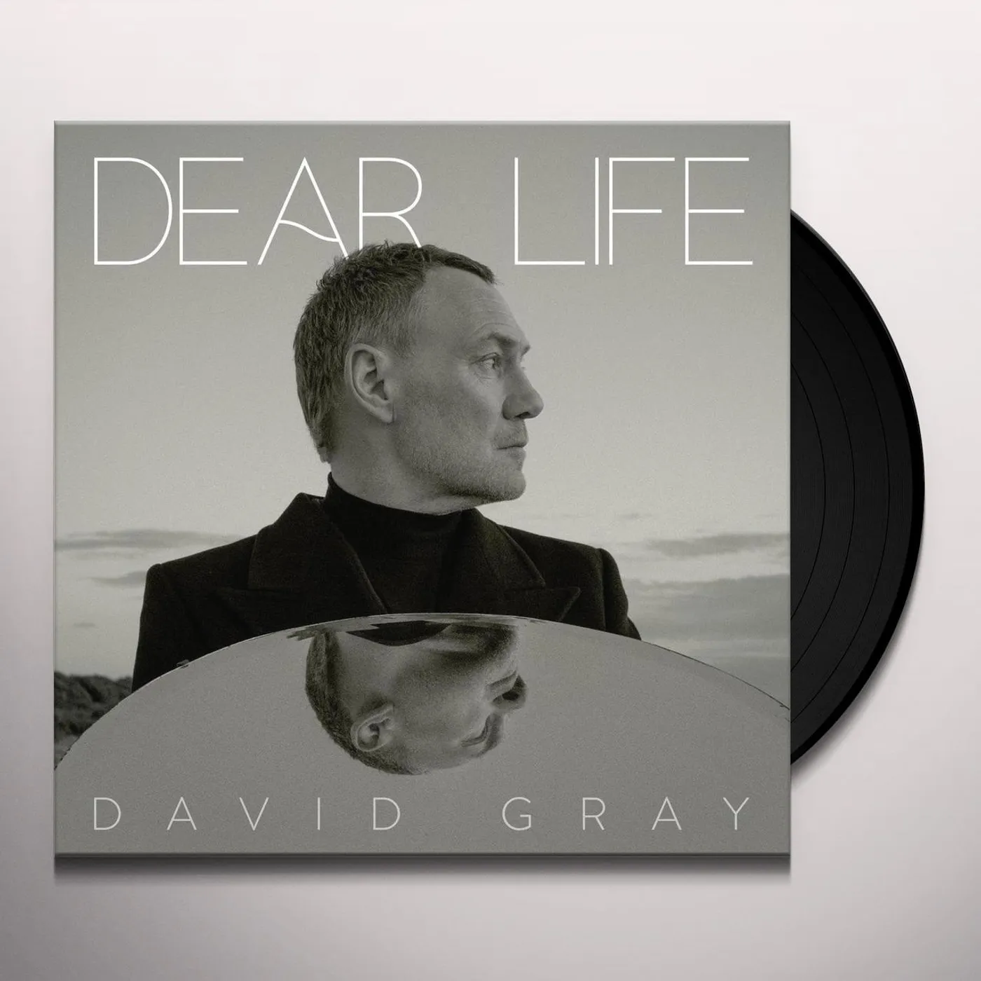 David Gray Dear Life Vinyl Record