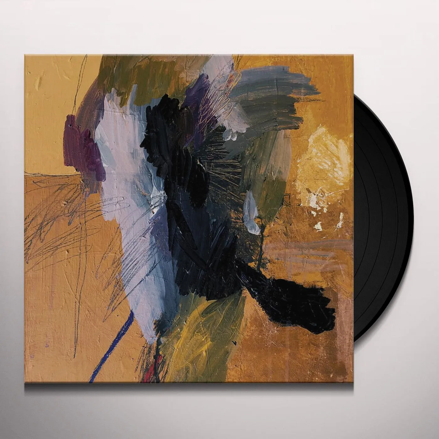 Dowsing Sky Coffin Vinyl Record