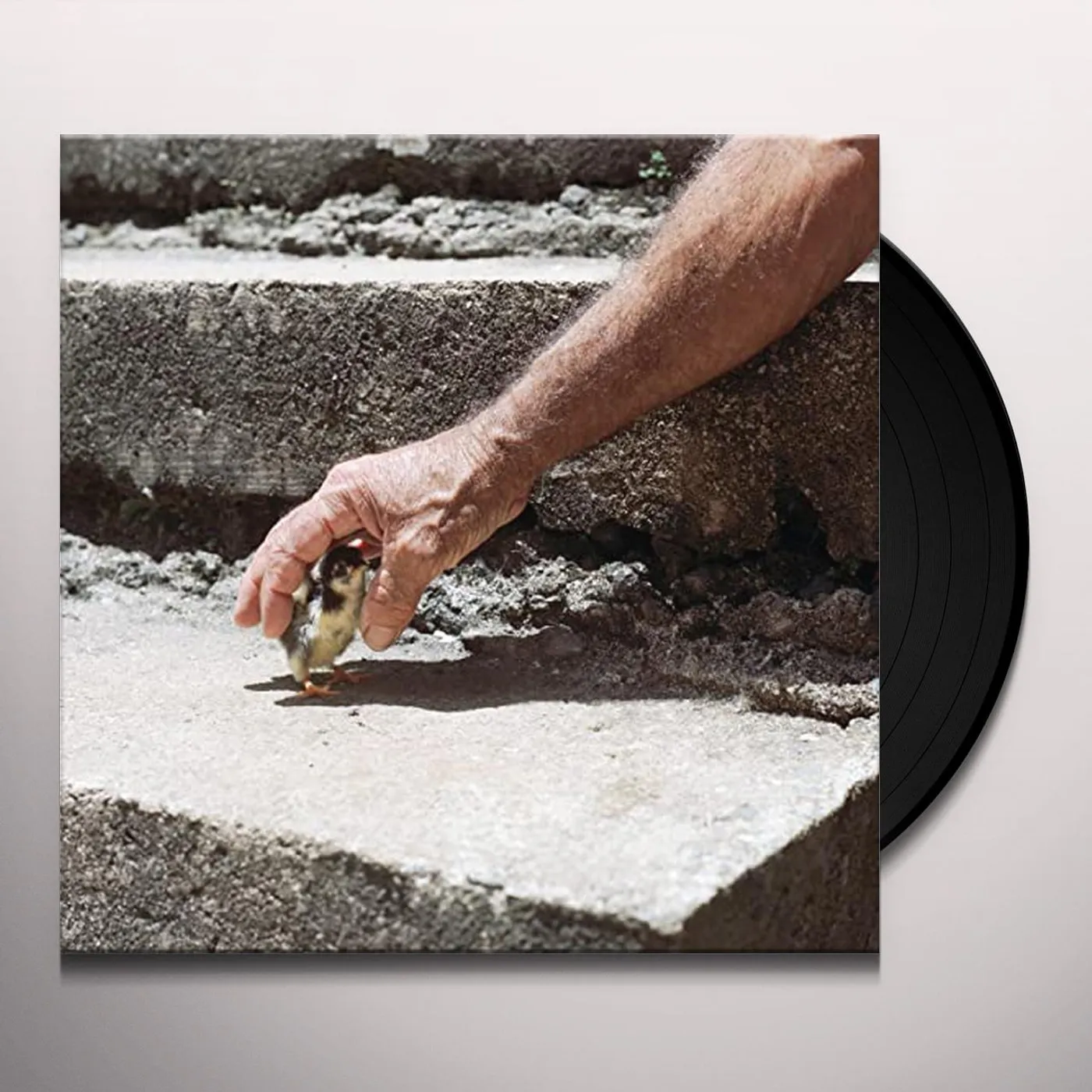 Big Thief Mythological Beauty Vinyl Record